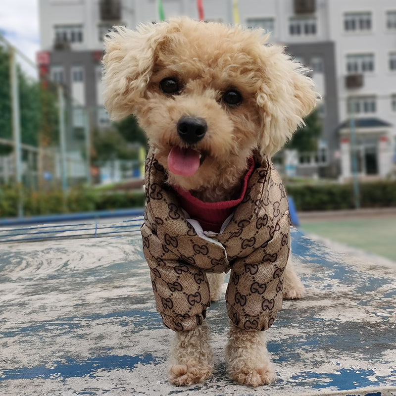 G-G luxury design pet dog jacket clothes