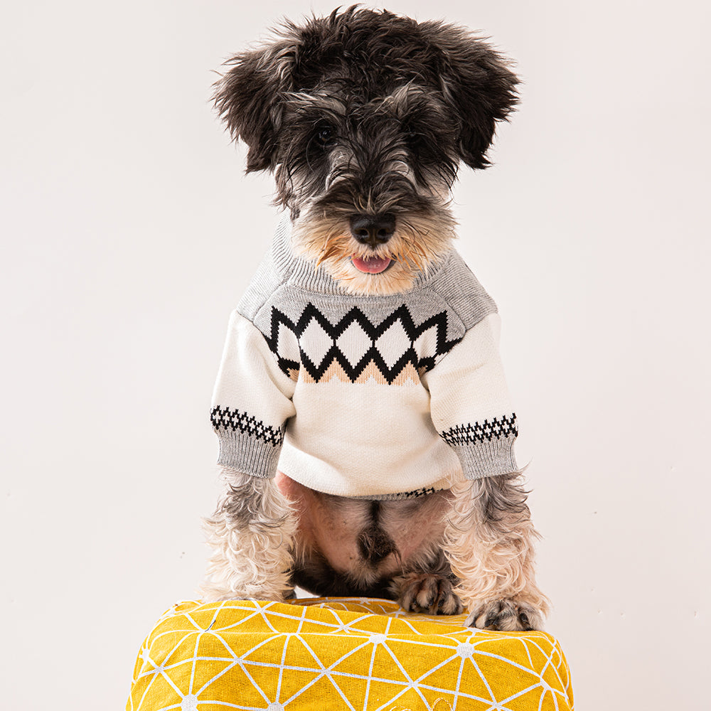 PRWDA luxury design pet dog sweater
