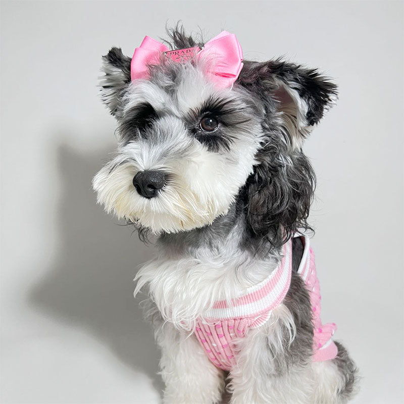 Chewnel Luxury Design Pet Dog Sweater